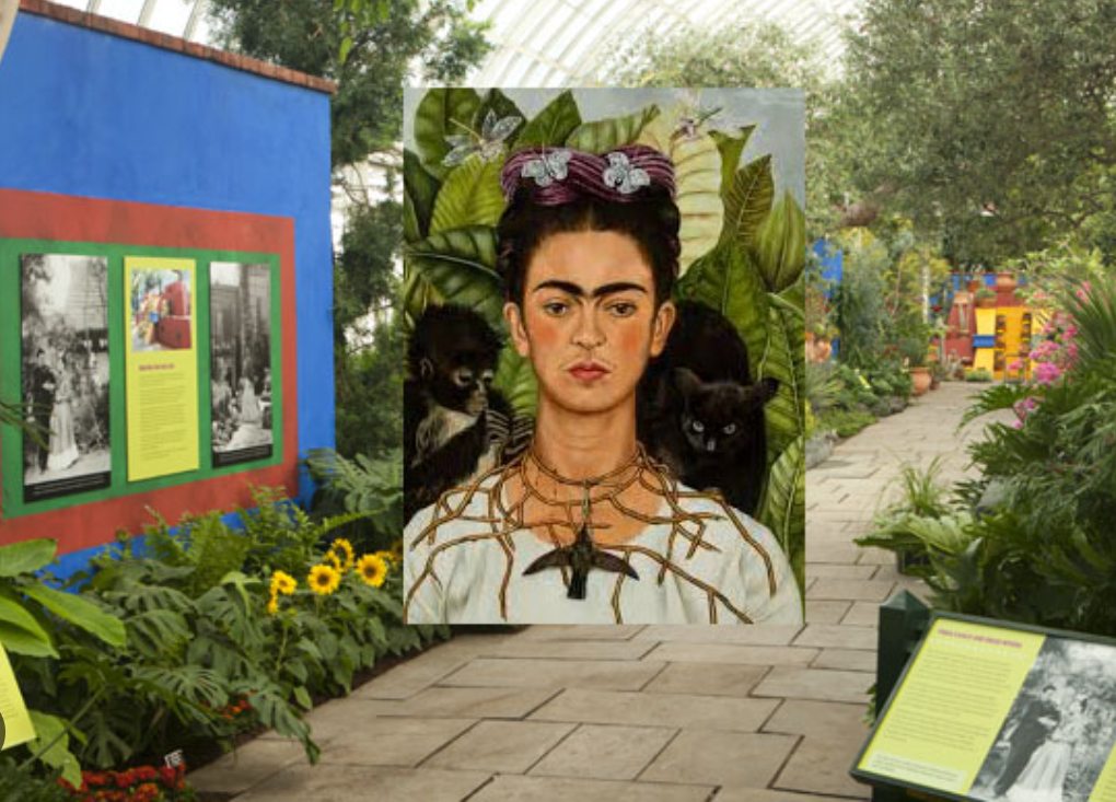 프리다칼로의사진 박물