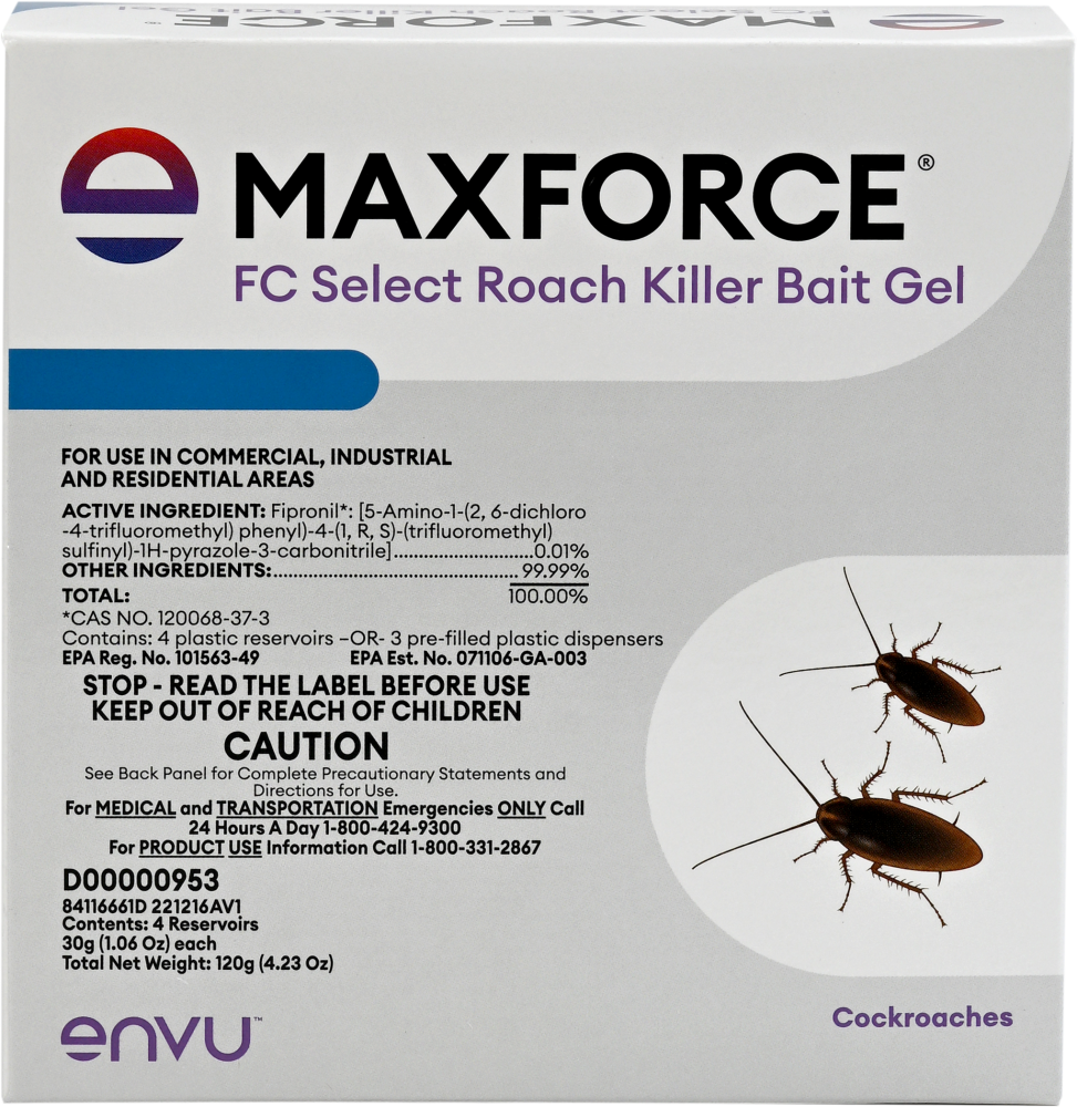 바퀴벌레 종류별 특징 (한국에서 흔한 종)