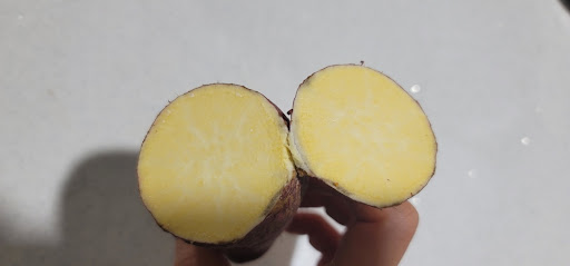 썩은 끝부분을 잘라냈을 때 처음에는 하얗게 보이는 고구마 단면