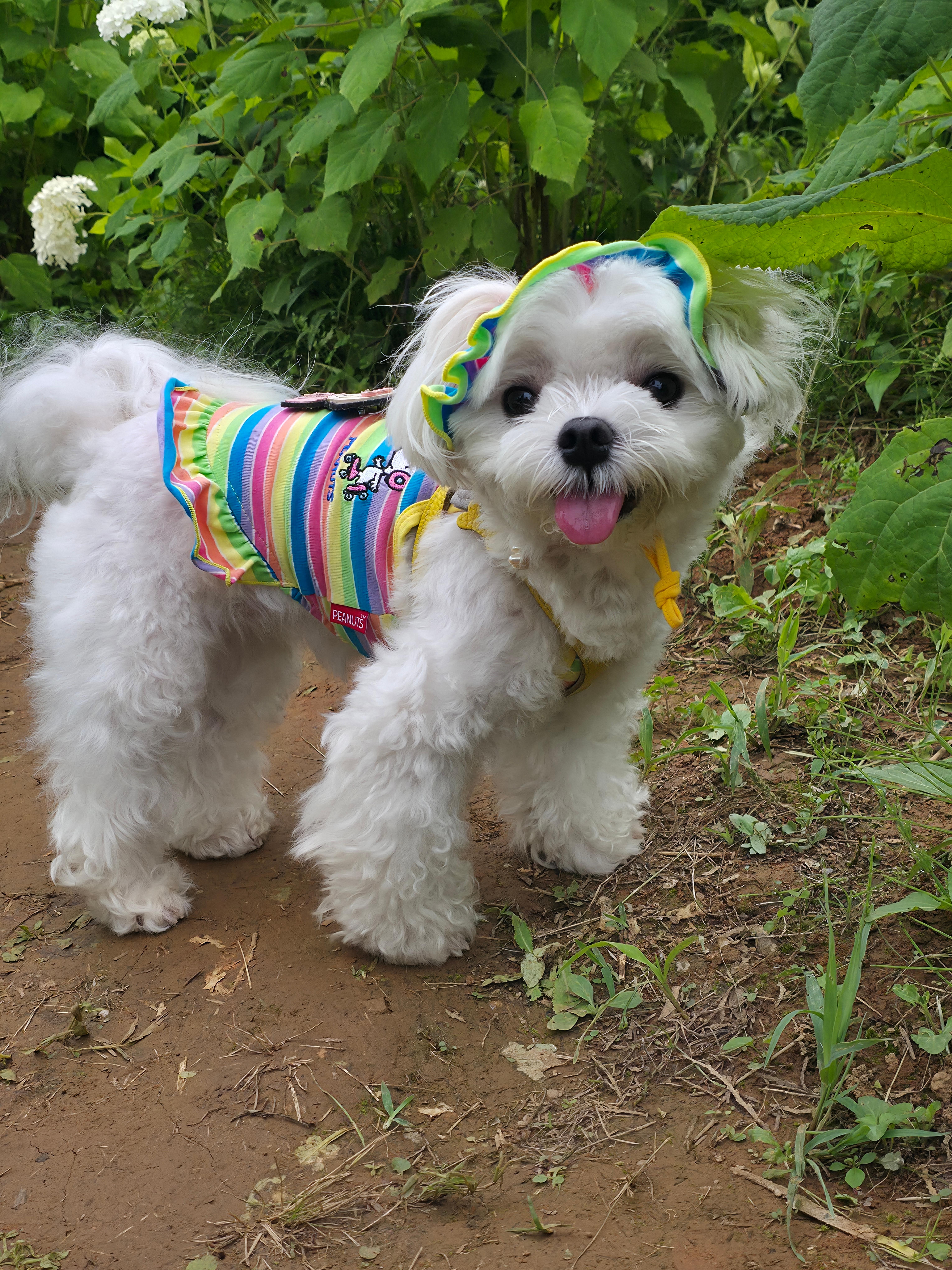 팜카밀레 허브농원에서 라떼와 찍은 사진