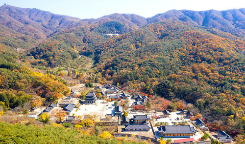 김제 모악산과 금산사 사진