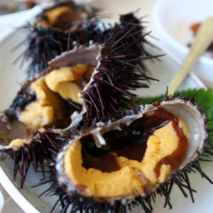 6월-제철-해산물-성게