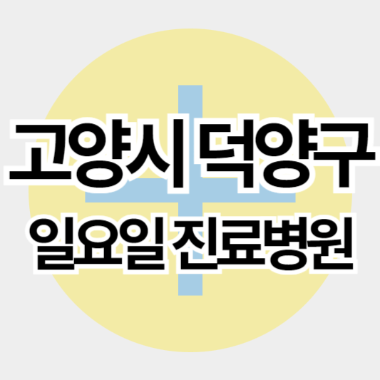고양시덕양구_일요일진료병원_썸네일