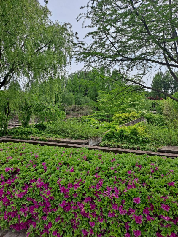 선유도공원 수로