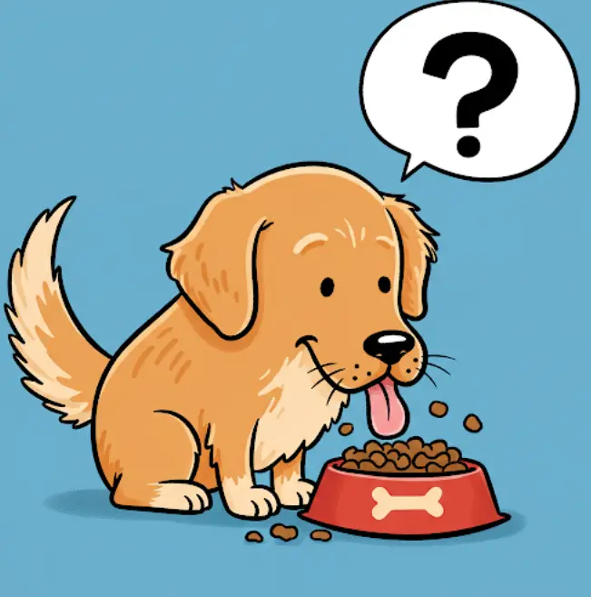 새끼 강아지 밥먹는 시간-3