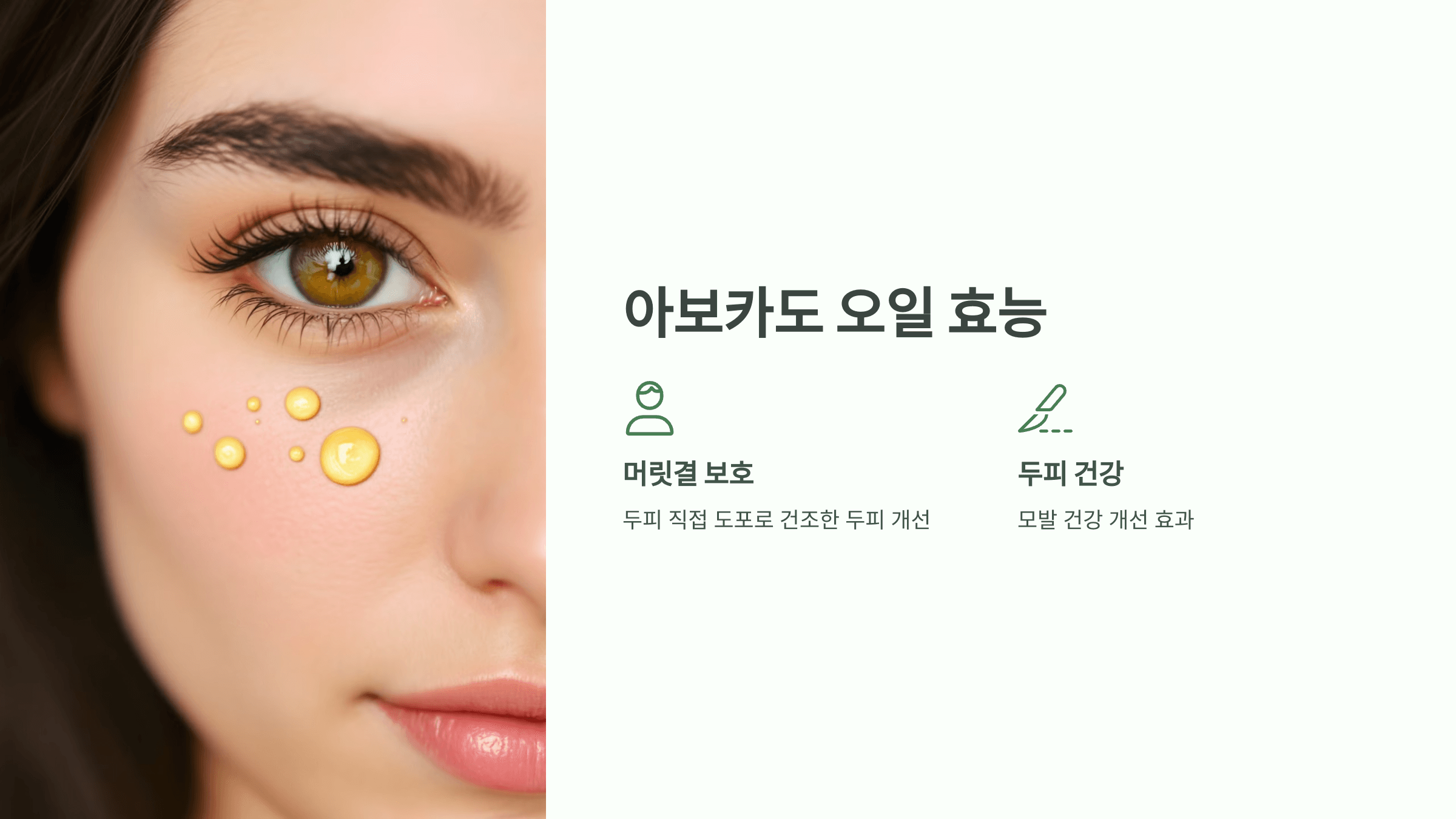 아보카도 오일 사진입니다.