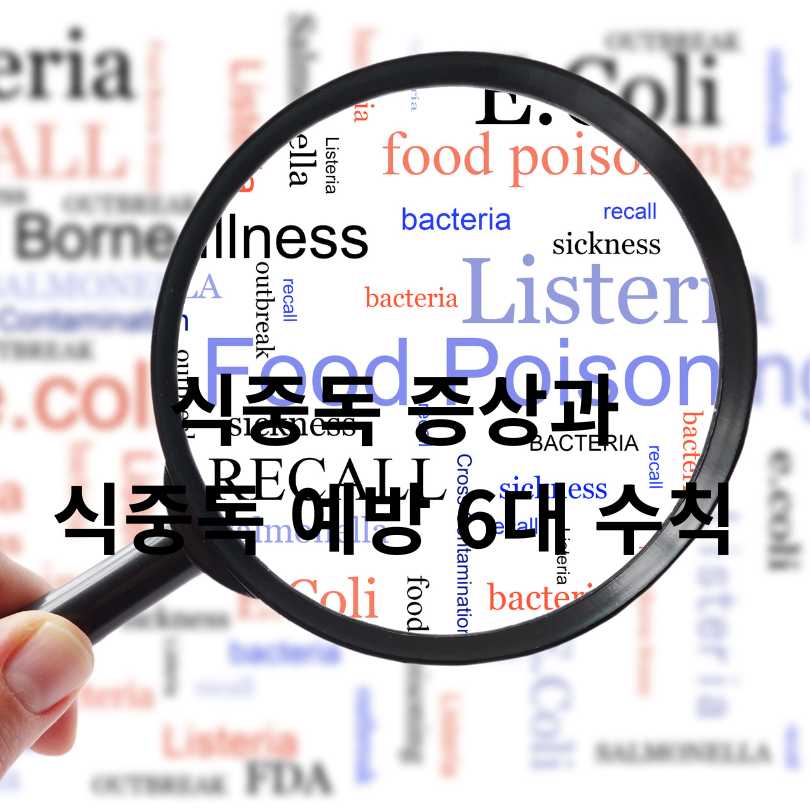 식중독 증상과 식중독 예방 6대 수칙
