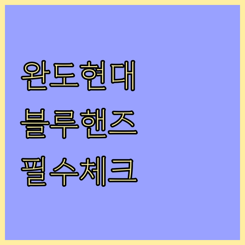 완도 현대자동차 블루핸즈 위치와 점검..