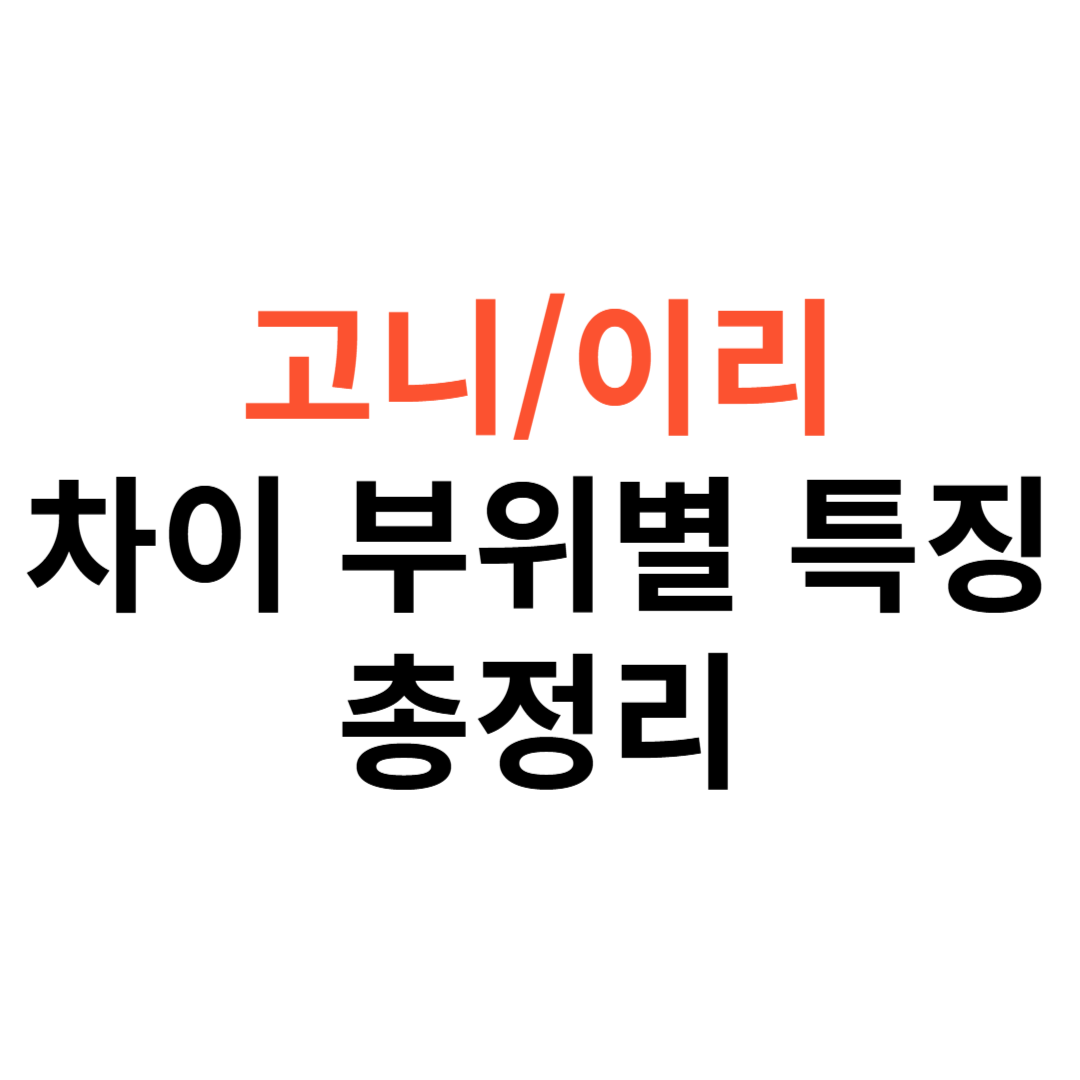 고니 이리 차이