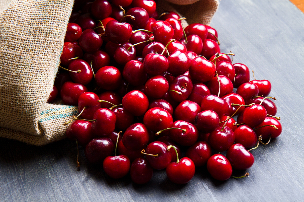 멜라토닌 많은 음식