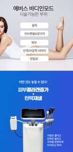 바디인모드