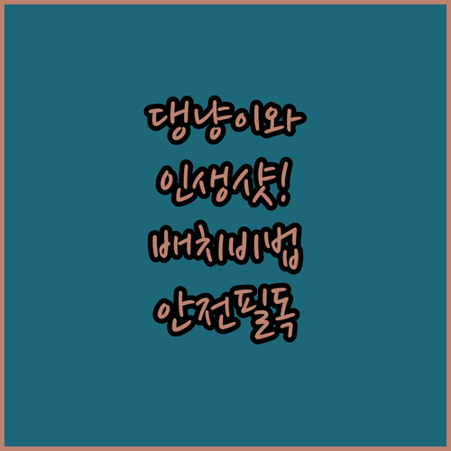 반려동물과 함께하는 크리스마스 홈스냅..