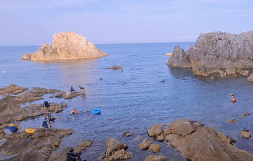 삼척 장호항 — &quot;한국의 나폴리&quot;에서 투명한 수중 체험