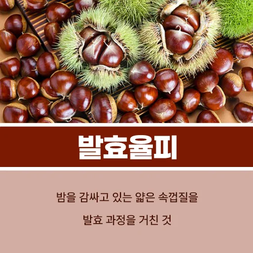 발효율피