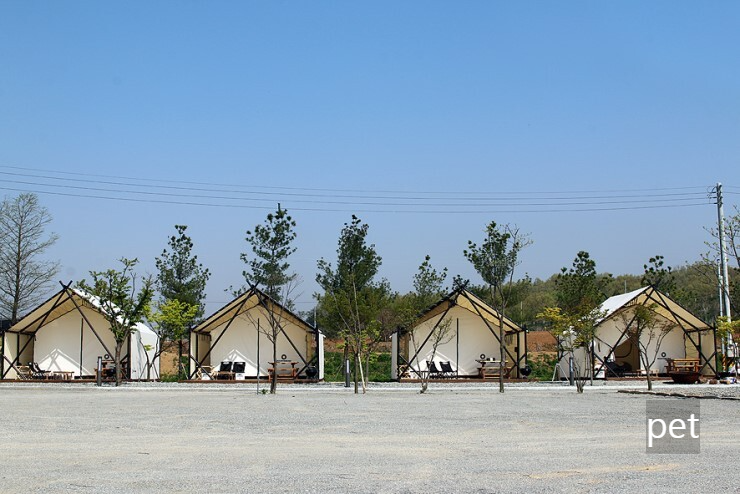 경기-연천-캠핑브릿지캠핑장-예약-방법-애견-동반-가격-주소-시간-후기