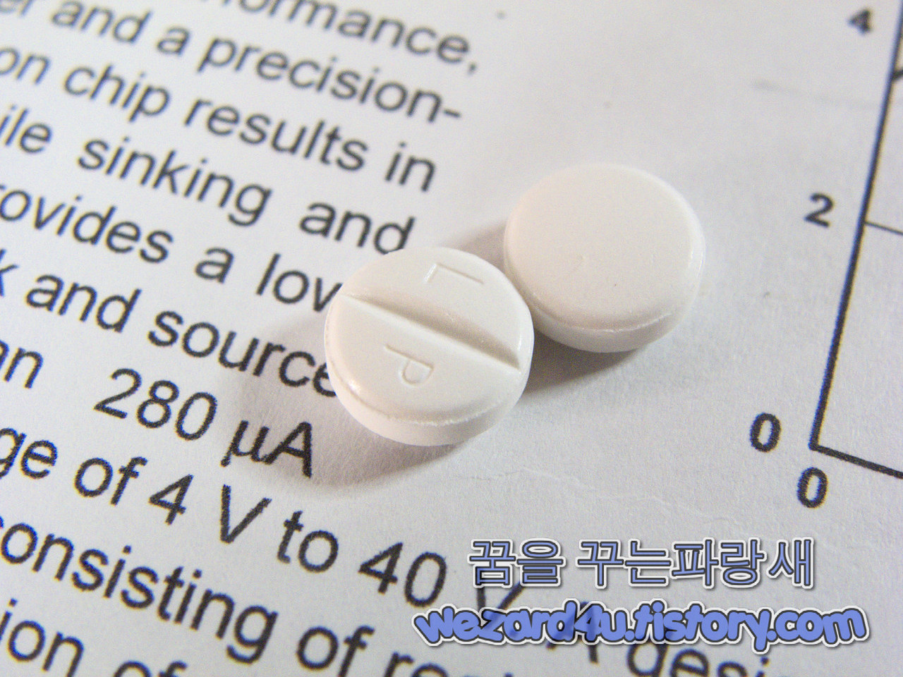 라미실정