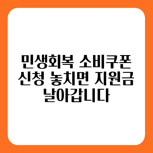 민생회복 소비쿠폰 신청 놓치면 지원금 날아갑니다