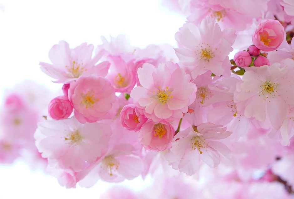 월요일 아침인사말