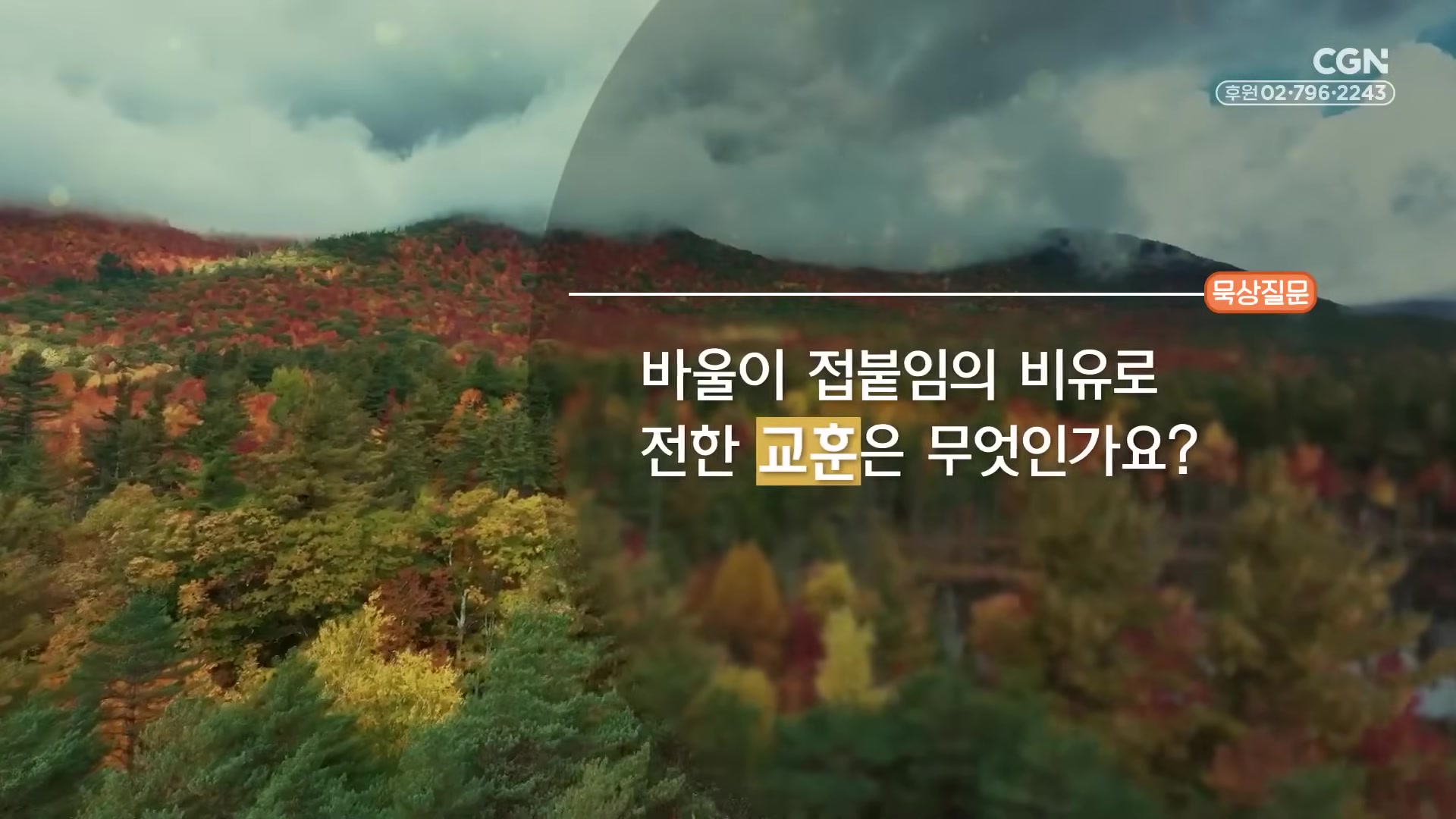 바울이 접붙임의 비유로 전한 교훈은 무엇인가요?
