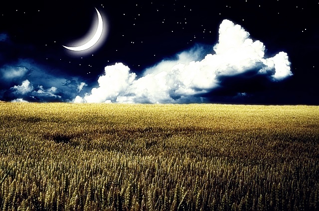 GTQ 시험 접수 방법