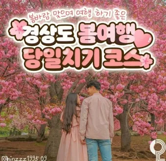 경상도 가을 여행하기 좋은 곳 여행지 추천 10곳으로 묶음_23