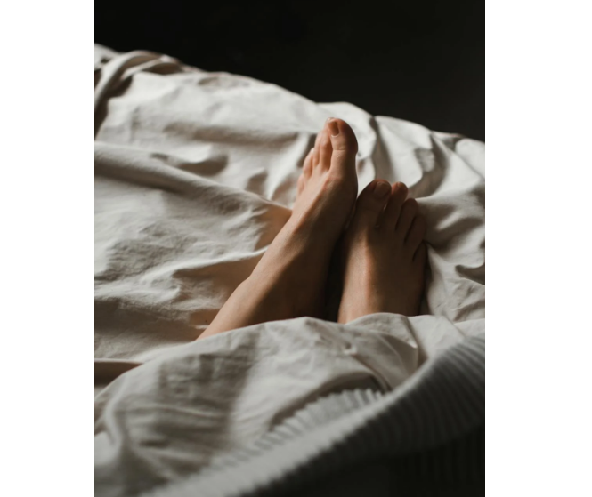 꿈해몽무료풀이