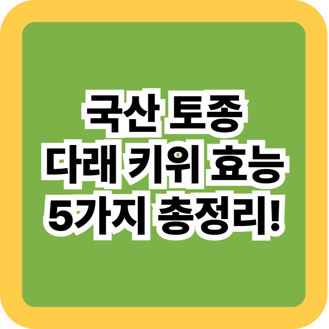 국산 토종 다래 키위 추천! 다래 키위 효능 5가지 총정리