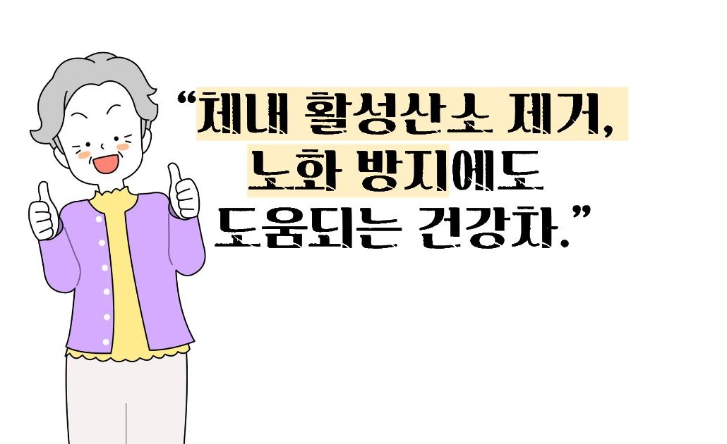 돼지감자차 효능과 부작용