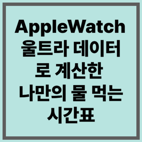 Apple Watch 울트라 데이터로 계산한 나만의 물 먹는 시간표