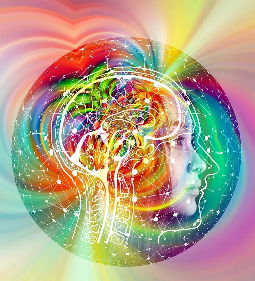 꿈은 우리의 직관을 어떻게 강화하는가?