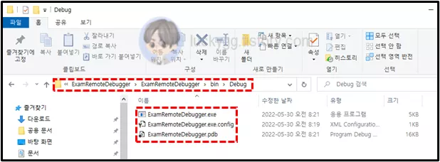 빌드-후-생성된-Debug-파일