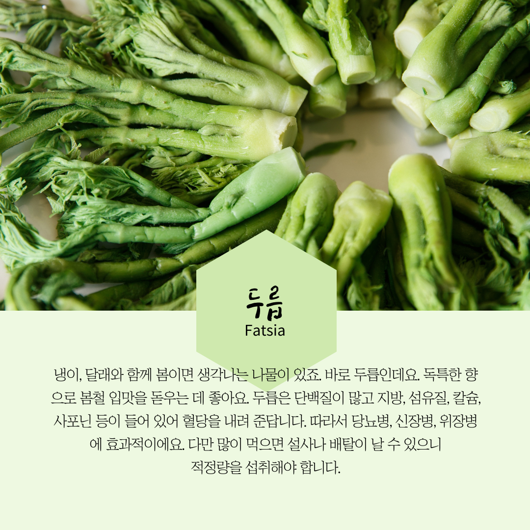 건강한 5월 제철음식 두릅