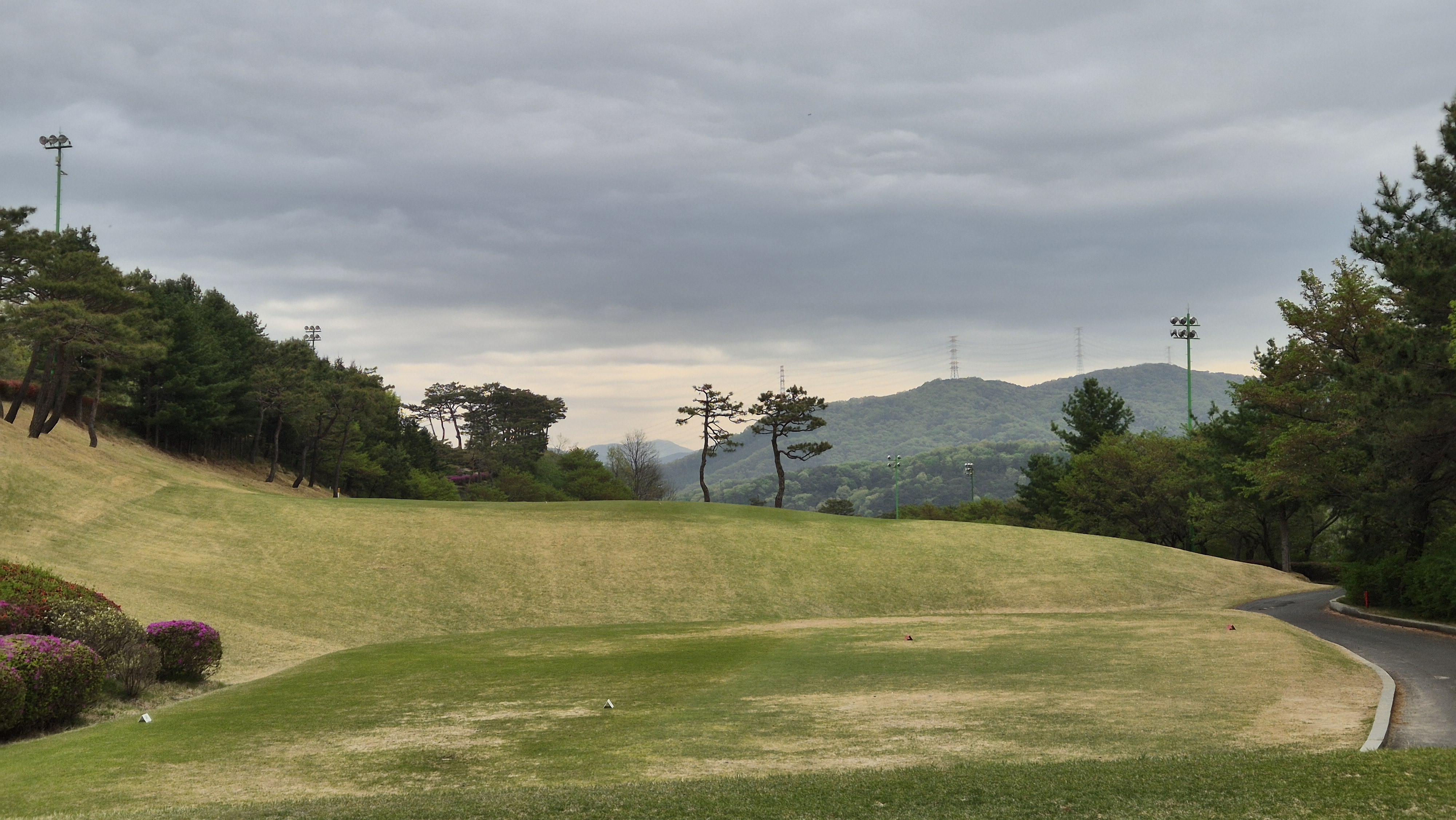 시그너스cc 코튼-라미 코스 사진 및 공략 정보