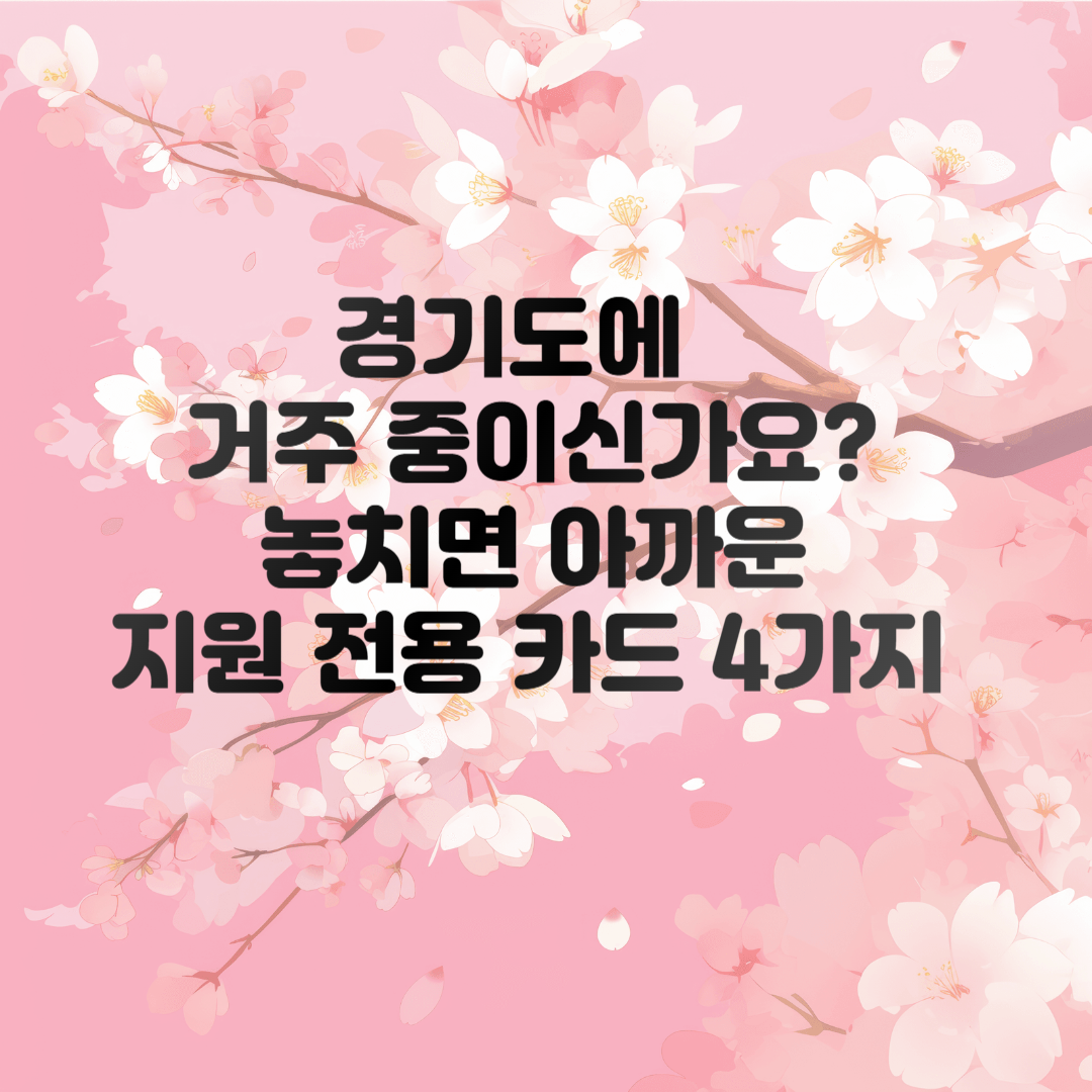 지원 전용 카드