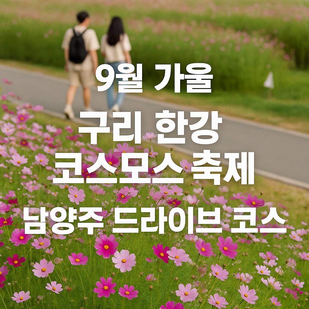 2025 서울·경기권 여행 – 구리 한강 코스모스 축제