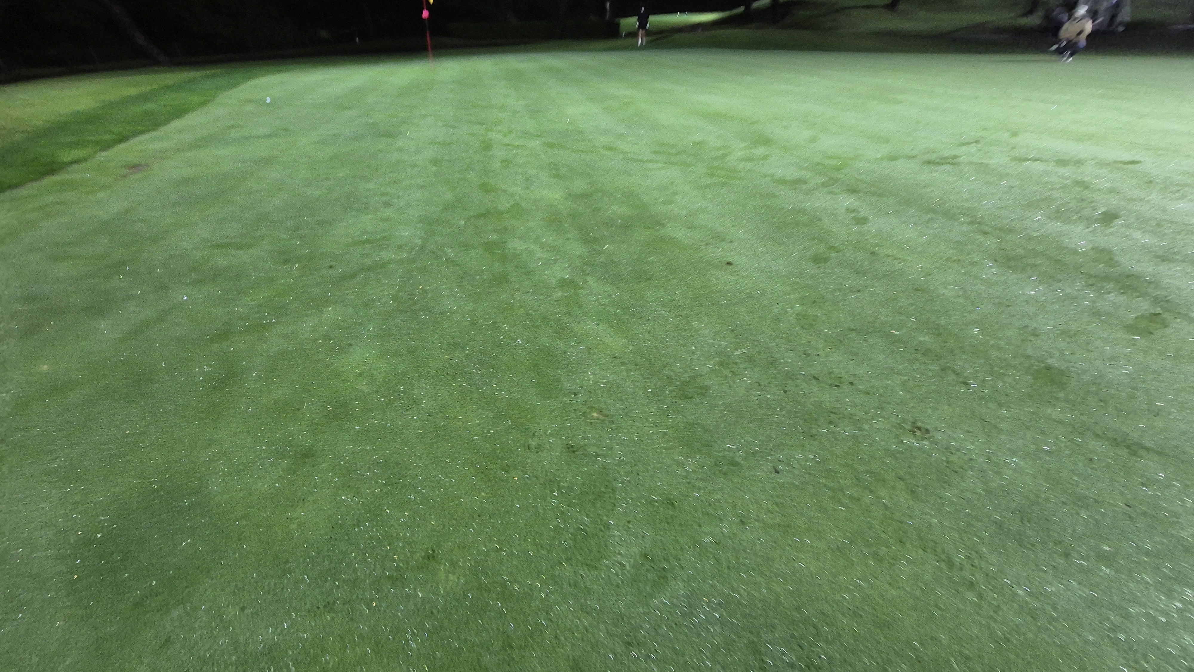 블루원용인cc 그린 관리 상태