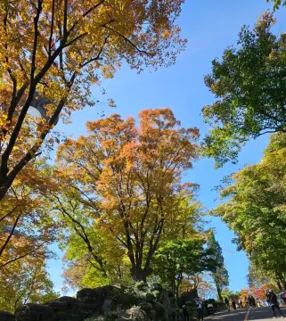 남산타워전망대-남산타워입장료할인
