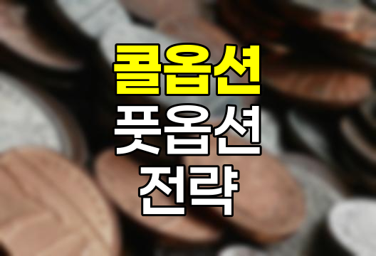 콜옵션과 풋옵션, 주식시장의 숨겨진 전략