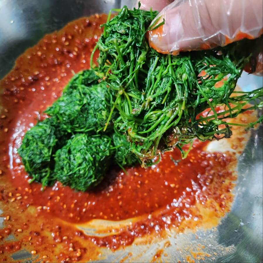 봄산나물 종류 봄 제철 나물 봄 산나물의종류사진 봄 산나물 종류