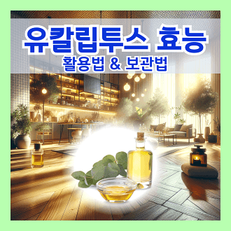 유칼립투스 효능 유칼립투스 오일 활용법과 유칼립투스보관법