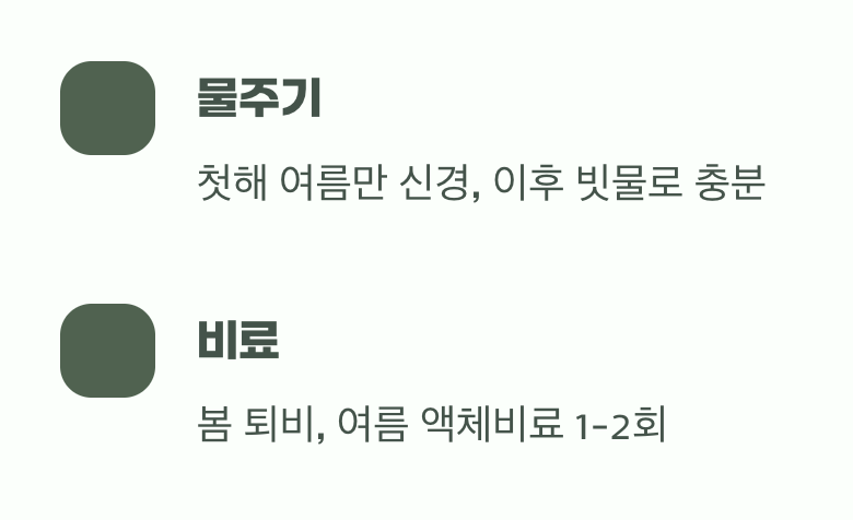 물과 비료, 과하지 않게 꾸준하게