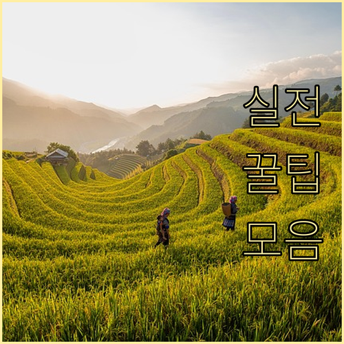 한강로동 쓰레기 배출 요일 시간 놓치..