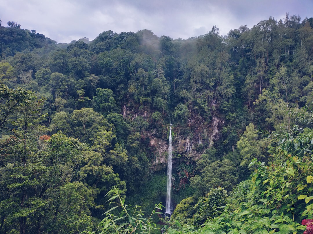 Kota Kinabalu