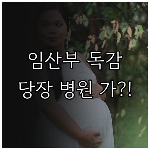 임산부 독감 증상 발현 시 병원 방문..