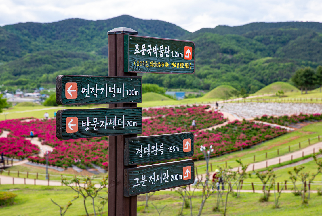 조문국 사적지6