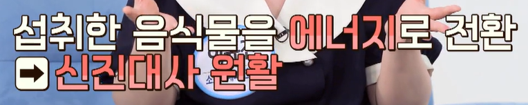 비오틴