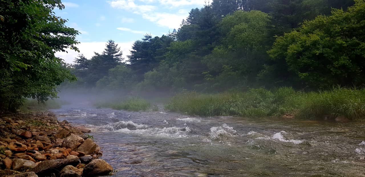 영월-하얀여울캠핑장-전경