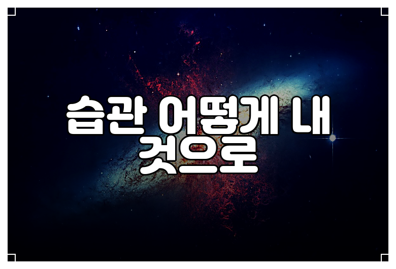 습관 어떻게 내 것으로