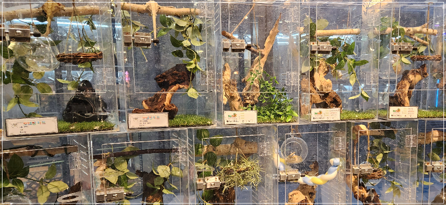 롯데시네마-판교-주차-가볼만한-곳