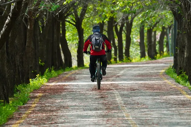 양주 가볼만한곳 베스트10 여행 놀거리 맛집_3